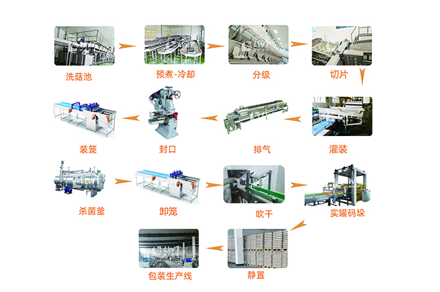 蘑菇罐頭生產線